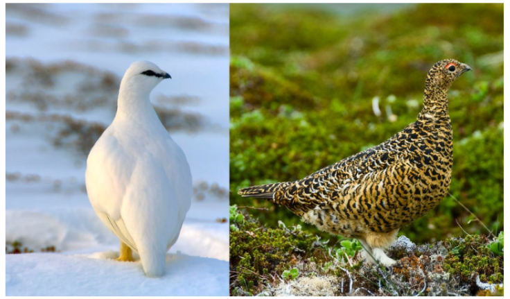 ОГЭ / Биология / 01 задание (24) / 59 изображение 1