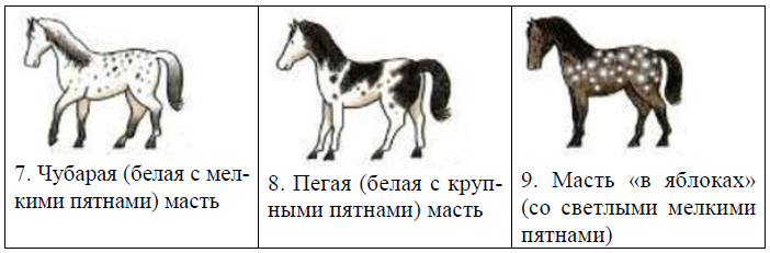 ОГЭ / Биология / 13 задание / 40 изображение 3