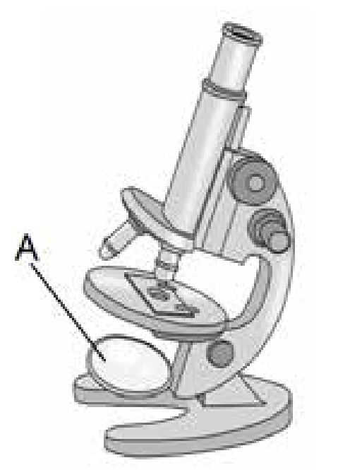 ВПР 5цифровой микроскоп устр. Детали микроскопа ВПР. Микроскоп м10. Буква в микроскопе.