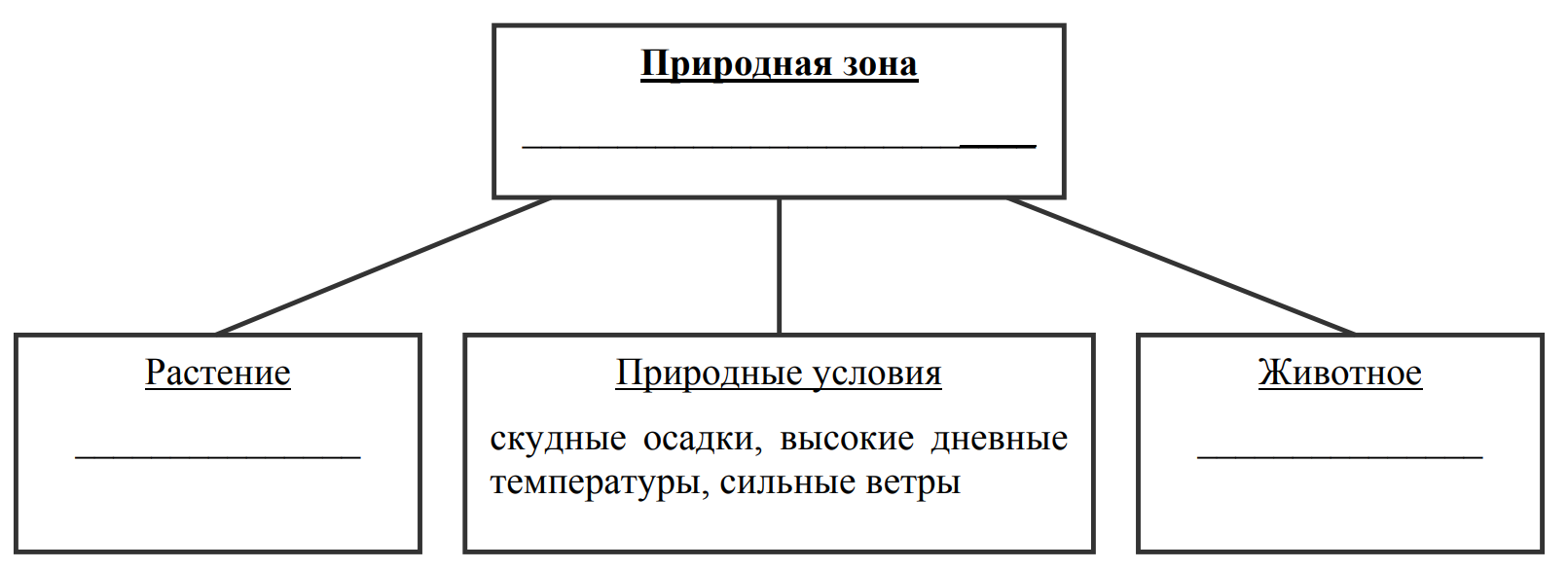 Заполните пустые ячейки на схеме выбрав