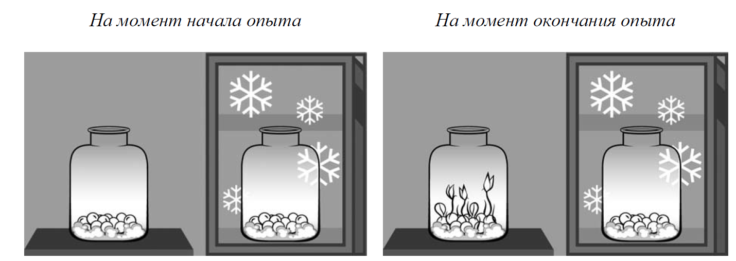 Дмитрий проделал следующий опыт в затемненной комнате на стопку книг он установил фонарик далее он