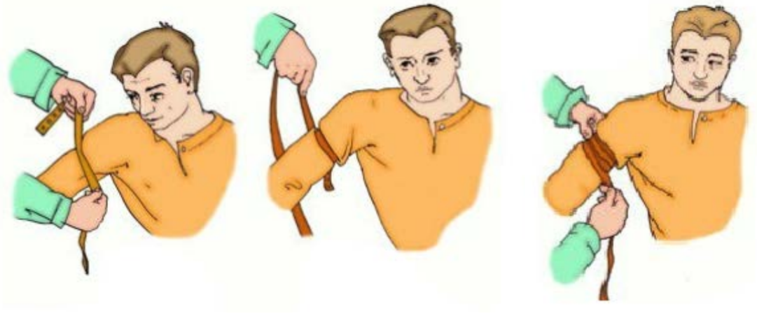 ОГЭ / Биология / 22 задание (24) / 53 изображение 1