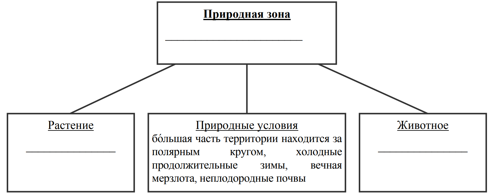 Заполните пустые ячейки на схеме выбрав необходимые слова из приведенного списка тайга