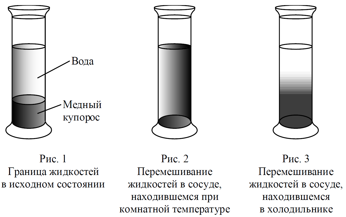 Используя рисунок выберите из предложенного перечня 2 верных утверждения