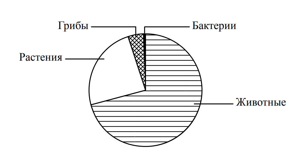 Диаграмма 5 класс биология