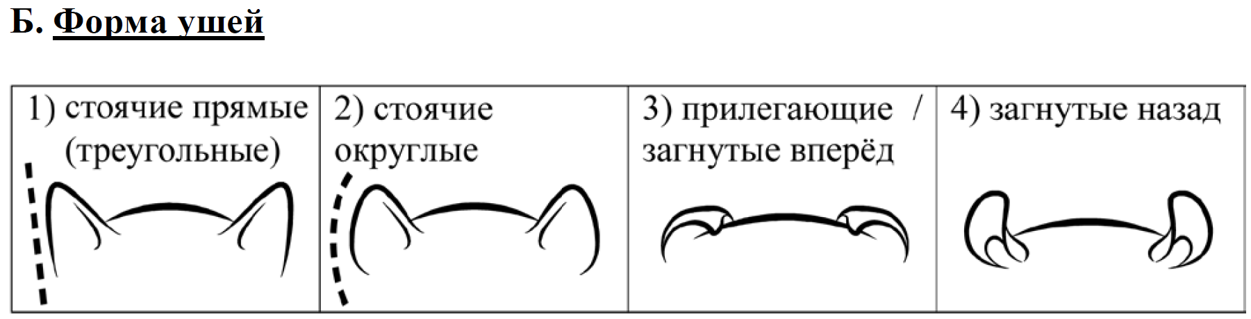 Выберите характеристики соответствующие внешнему строению кошки по следующему плану окрас шерсти