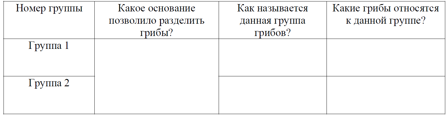 Рассмотрите изображение шести представителей мира грибов предложите основание согласно которому впр