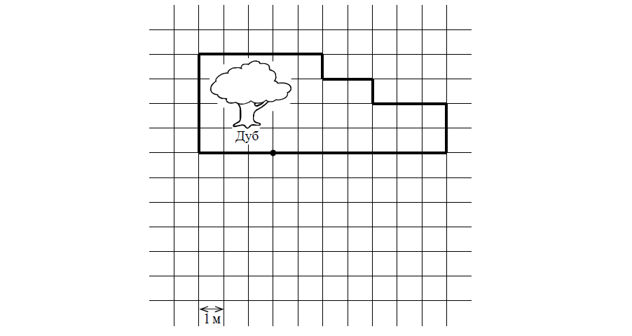 Ученый кот обошел вокруг дуба и вернулся в исходную точку на рисунке показан