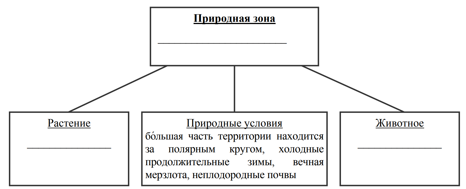 Заполните пустые ячейки на схеме выбрав необходимые слова из приведенного списка суслик тайга