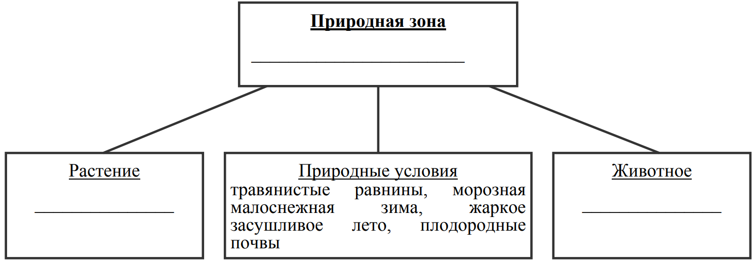 Заполните пустые ячейки на схеме выбрав необходимые слова из приведенного списка природная зона