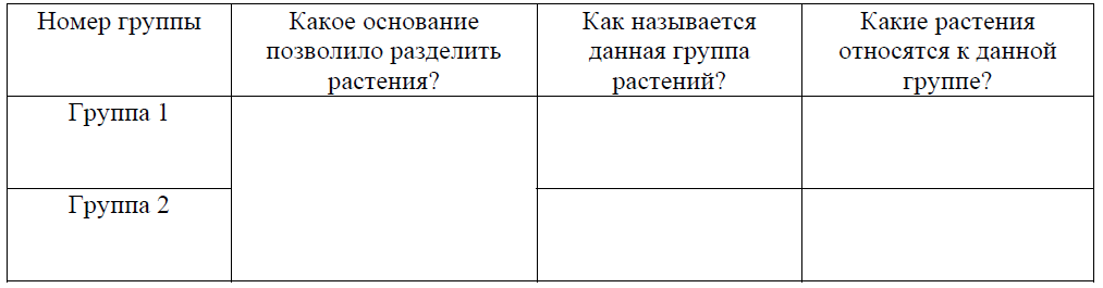 ВПР / Биология / 7 класс / 09 задание / 76 изображение 2