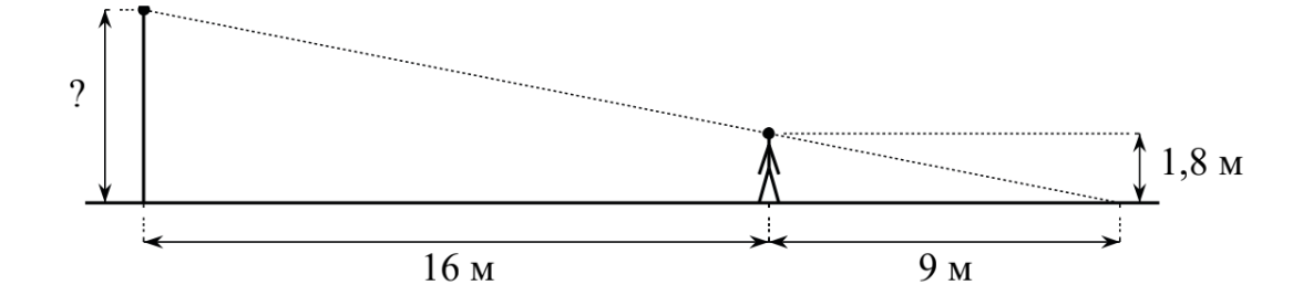 ЕГЭ / База / 10 задание (24) / 127 изображение 1