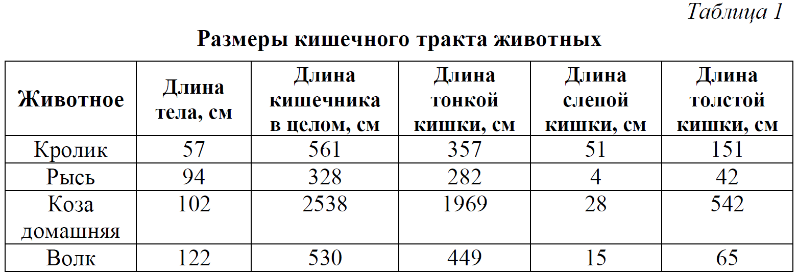 ОГЭ / Биология / 25 задание / 12 изображение 1