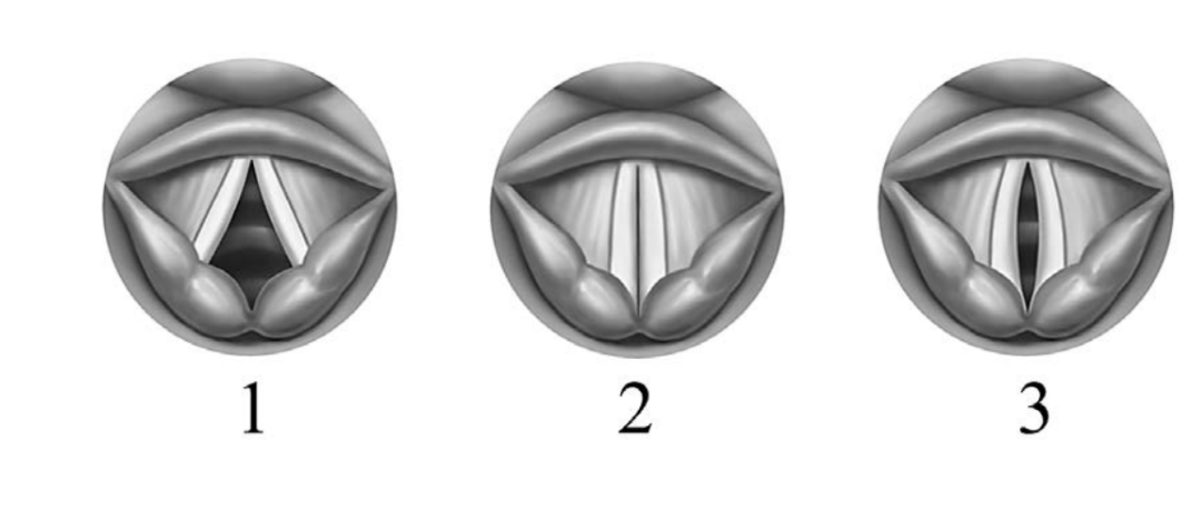 ЕГЭ / Биология / 24 задание (24) / 09 изображение 1