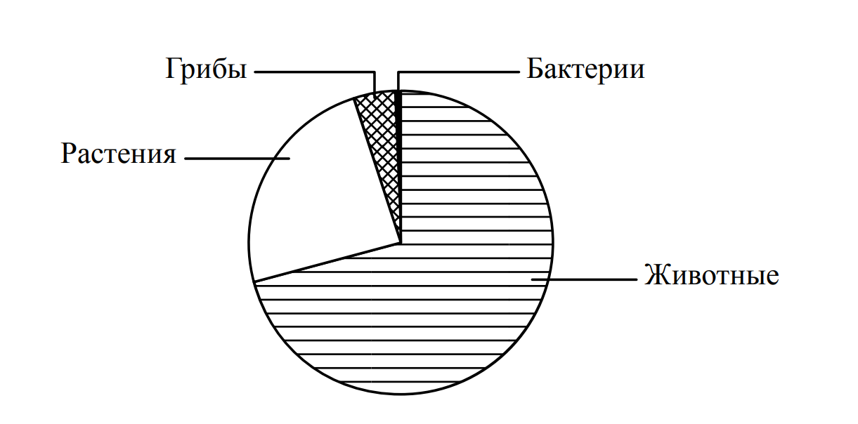 На диаграмме показано соотношение количества видов разных. Диаграмма биология. Диаграмма по биологии. Диаграмма царства живой природы. Виды чисел диаграмма.