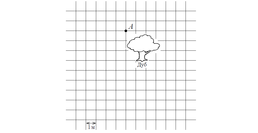 Ученый кот обошел вокруг дуба и вернулся в исходную точку на рисунке показан