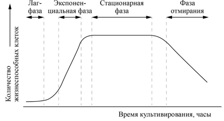 ЕГЭ / Биология / 22-23 задание (24) / 44 изображение 1
