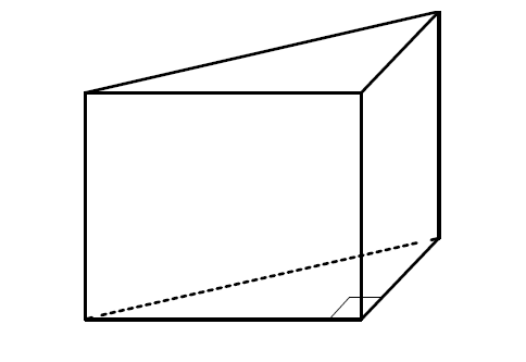 Прямая призма в основании прямоугольный треугольник рисунок