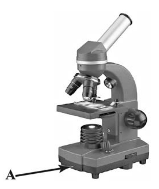 Цифровой микроскоп 5 микроскоп ВПР 5 класс. БМИ микроскоп с деталью. Задания ВПР 5 кл устройство микроскопа. Устройство микроскопа 5 класс ВПР биология с ответами. Цифровой микроскоп впр 5 класс биология ответы