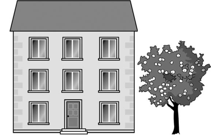 На рисунке изображены здание и стоящее рядом дерево высота входной двери в здание равна 2м