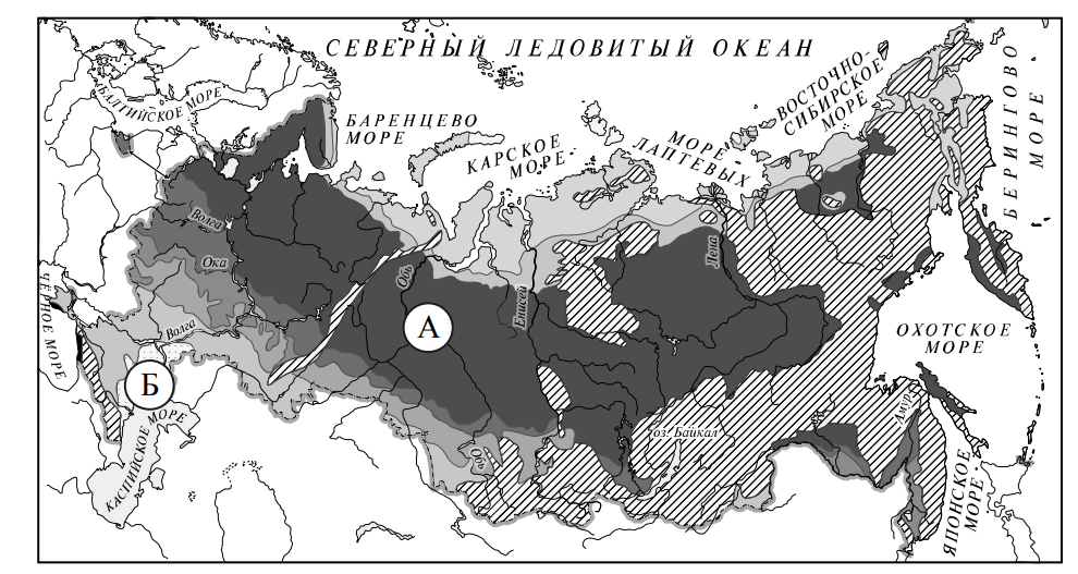 ВПР / Окружающий мир / 4 класс / 03 задание / 04 изображение 1