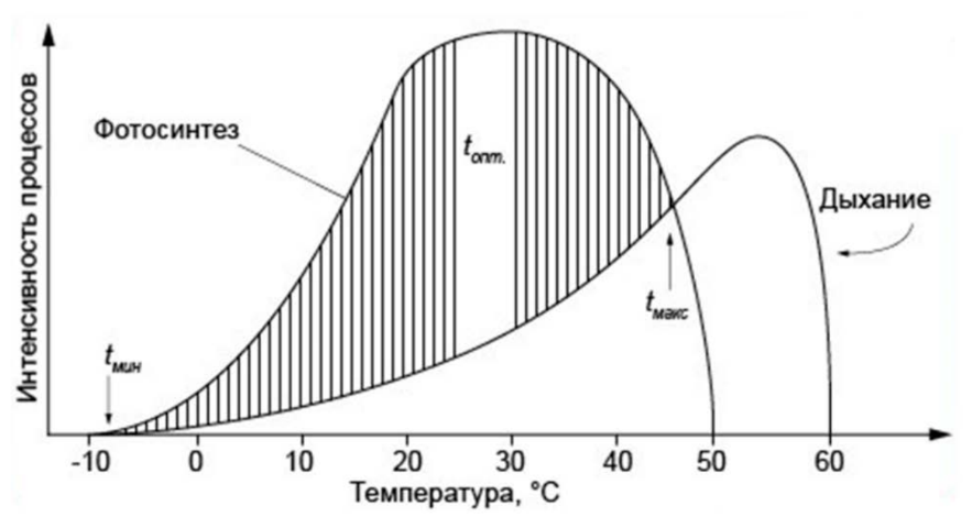 ЕГЭ / Биология / 21 задание (24) / 57 изображение 1